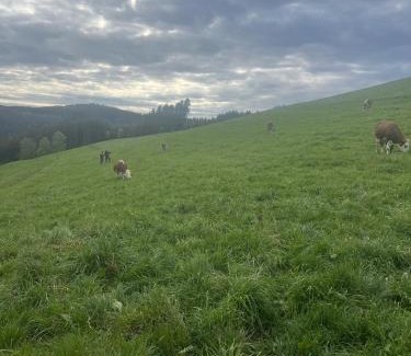 Triberg im Schwarzwald Casa | Ferienhaus am Kapellenhof