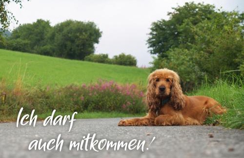 Haddorfer Seen Casa | Ferienhaus am See