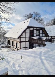 Feriendorf Frankenau Apartamento | Ferienhaus am Wald
