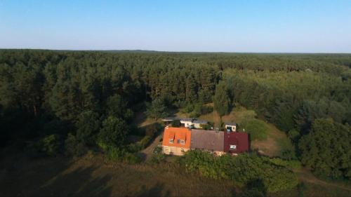 Muritz Apartamento | Ferienhaus Amalienhof