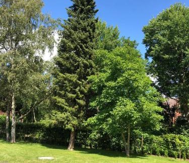 Bak Casa | Ferienhaus Bäk-Ratzeburg