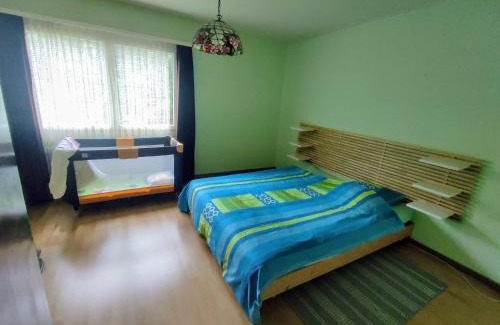 Lungern Apartamento | Ferienhaus Bärschwendi