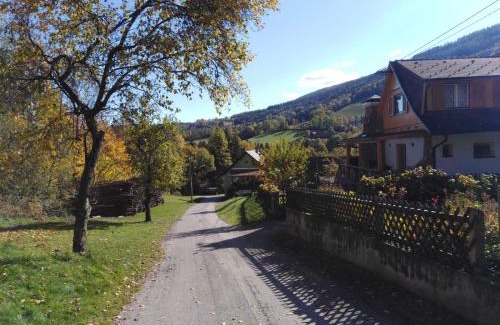 Trattenbach Apartamento | Ferienhaus Bauer Wohnung 2