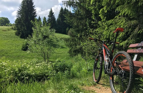 Geising Cabaña | Ferienhaus Bikehütte Rehnhäusl