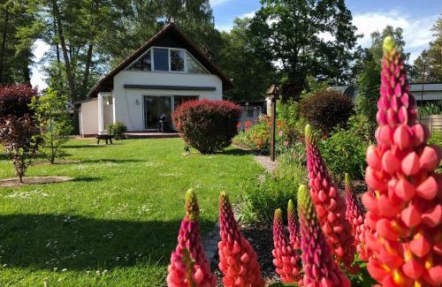 Rahnsdorf Casa | Ferienhaus direkt an der Spree mit Whirlpool und Sauna
