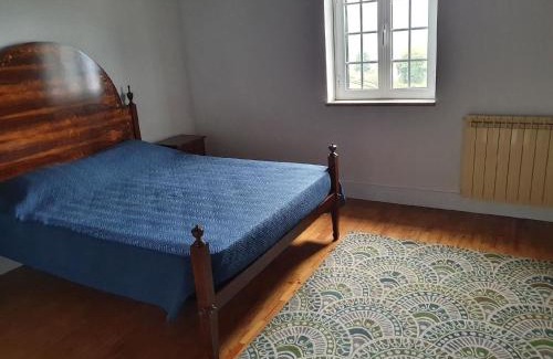 Oliveira de Frades Casa | Ferienhaus für 20 Personen in Ribeiradio, Regio Centro Beira
