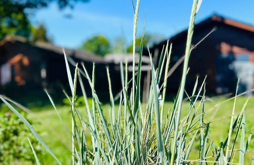 Berensch Casa | Ferienhaus für 5 Gäste mit 65m² in Cuxhaven