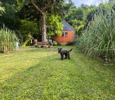 Pirna Casa | Ferienhaus Franz - an der Elbe, mit großem Garten