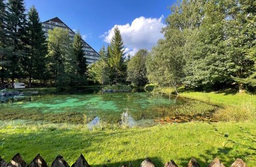 Bad Mitterndorf Casa | Ferienhaus Fux - Your Lake and Ski Hideaway at Tauplitz near Hallstatt