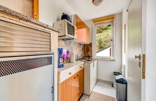 Schleusegrund Casa | Ferienhaus im Thüringer Wald, cleaning included