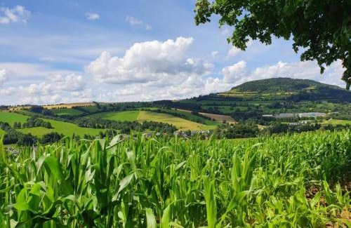 Baerenstein Casa | Ferienhaus in Bärenstein bei grünen Hügeln