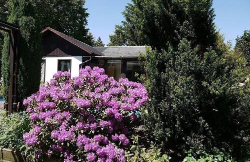 Mueglitztal Casa | Ferienhaus In Maxen Mit Privatem Pool