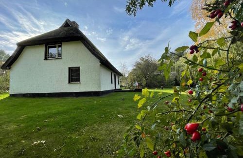 Ummanz Casa | Ferienhaus mit Reetdach