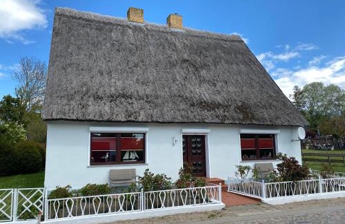 Gross Zicker Casa | Ferienhaus MS Fischerhus mit 250 qm im Ostseebad