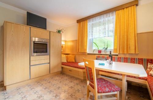 Wildschoenau Apartamento | Ferienhaus Nössig