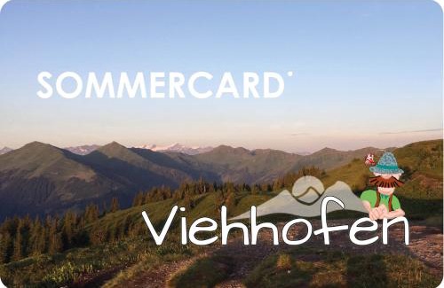 Viehhofen Apartamento | Ferienhaus Neureiter