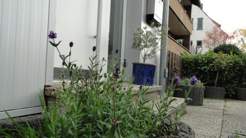 Korbecke Apartamento | Ferienhaus Paschke Möhnesee Zentrum