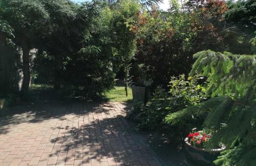 Muritz Casa | Ferienhaus "Peter" Objekt ID 12075-0