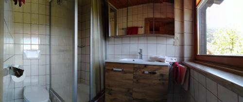 Werfenweng Casa | Ferienhaus Regina