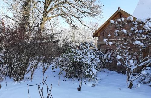 Buttel Casa | Ferienhaus Rosengarten