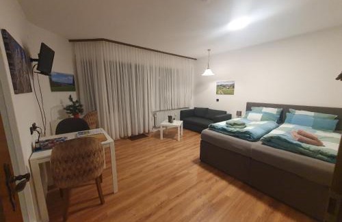 Schoenwald Apartamento | Ferienhaus-Schönwald im Herzen des Schwarzwaldes 1Zimmer Wohnung mit Terrasse App17