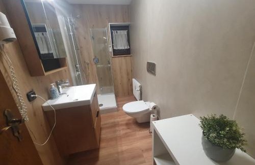 Schoenwald Apartamento | Ferienhaus-Schönwald im Herzen des Schwarzwaldes 1Zimmer Wohnung mit Terrasse App17