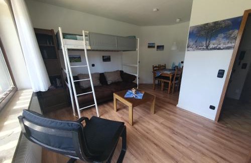 Schoenwald Apartamento | Ferienhaus-Schönwald im Herzen des Schwarzwaldes 2Zimmer-Wohnung & Terrasse & Whirlpool App16