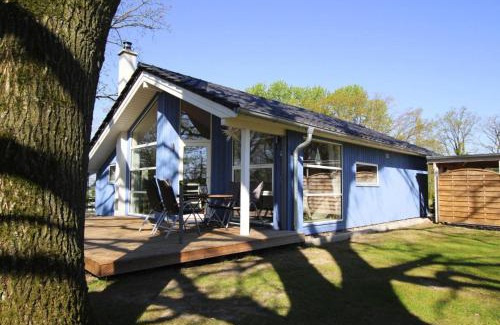 Dummer Casa | Ferienhaus Seeadler mit Sauna am Dümmer See