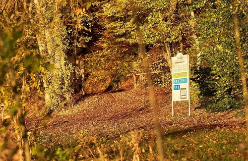 Rieden Casa | Ferienhaus Seepfadhäusle am Waldsee