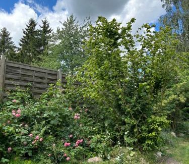 Muhl Rosin Casa | Ferienhaus Typ - Finnhütte