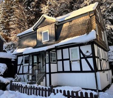 Siedlinghausen Casa | Ferienhaus Waldtraum Winterberg