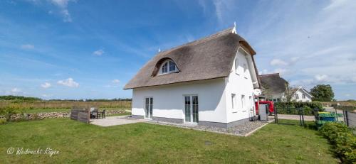Puddemin Casa | Ferienhaus Wildrose in der Puddeminer Wiek