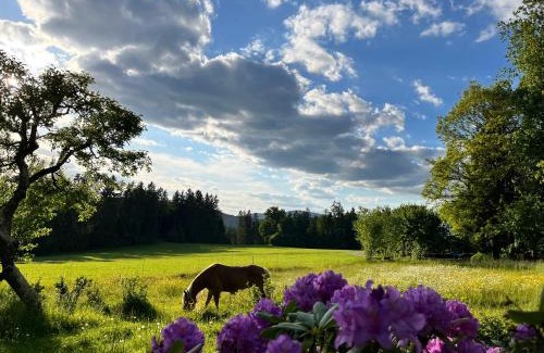 Bobrach Casa | Ferienhaus Zopfhäusl