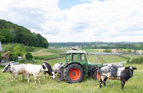 Tettnang Apartamento | Ferienhof Biegger
