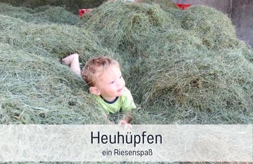 Immenstadt im Allgaeu Apartamento | Ferienhof Eger - entspannter Urlaub mit Baby & Kleinkind - wahlweise top modern oder günstige Fewos - ruhig am Ende der Straße - Kälbchen füttern - Traktor fahren - Freie Fahrt mit den Hörnerbahnen in Sommersaison - E-Ladestation - E-bike Verleih ab Hof