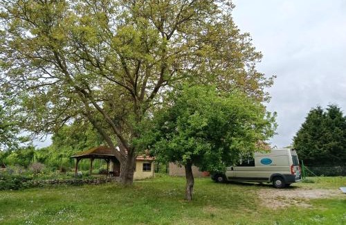 Lalendorf Cama Y Desayuno | Ferienhof Maikito