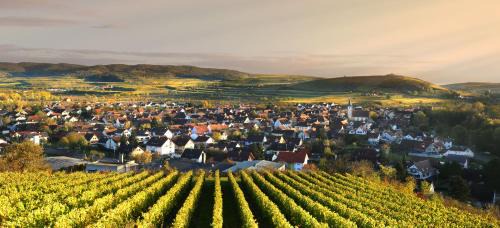Sasbach am Kaiserstuhl Apartamento | Ferienhof Schlössle