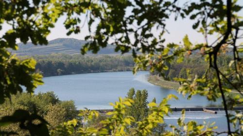 Sasbach am Kaiserstuhl Apartamento | Ferienhof Schlössle