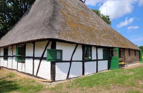Biendorf Casa | Ferienhof Schwalbennest OFC 24