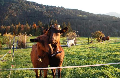 Hittisau Apartamento | Ferienhof Sonne
