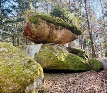 Schofweg Apartamento | Ferienland Sonnenwald Fewo 46 und Studio 50 in Schöfweg Bayerischer Wald