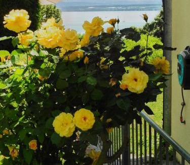 Hagnau Apartamento | FerienResidenz über'm See