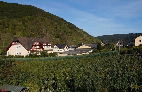 Briedern Apartamento | Ferienweingut Hugo Friederich & Sohn - double room
