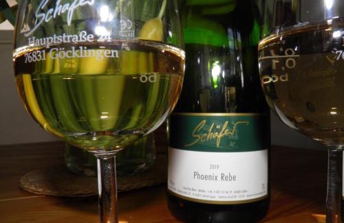 Gocklingen Apartamento | Ferienweingut Schäfer