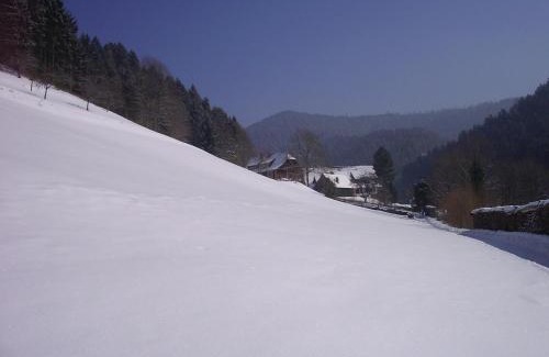 Bad Rippoldsau-Schapbach Apartamento | Ferienwohnungen Vogt's Libding