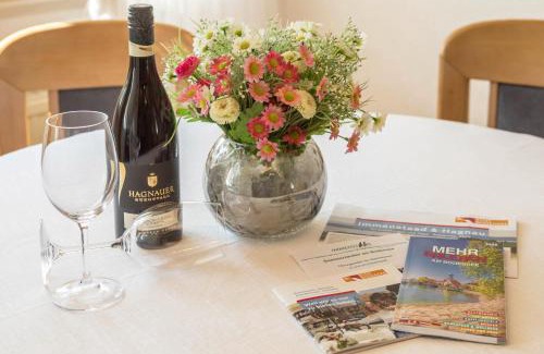 Immenstaad am Bodensee Apartamento | Ferienwohnung Lilo