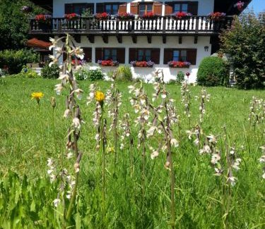 Oberschonau Apartamento | Ferienwohnung Deinbeck