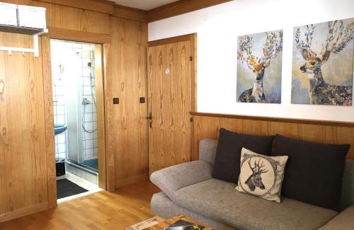 Bramberg am Wildkogel Apartamento | Ferienwohnung Soller