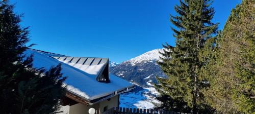 Jerzens Apartamento | Ferienwohnung 4 Personen Alleinlage am Wald Nähe Skigebiet Hochzeiger