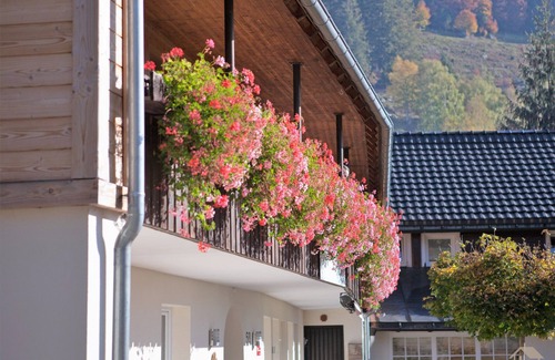 St. Blasien Apartamento | Apartamento 8 - Herzogenhorn OG, 73m², 2 habitaciones, máx. 6 personas